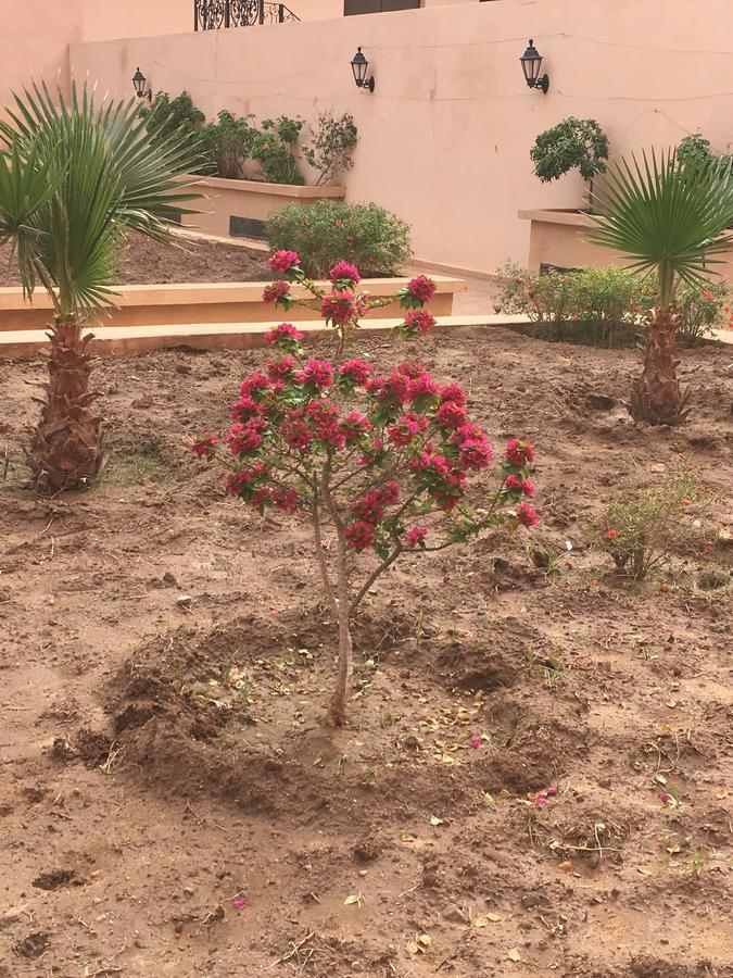 Appartement Elias Marrakech Marrakesh Esterno foto
